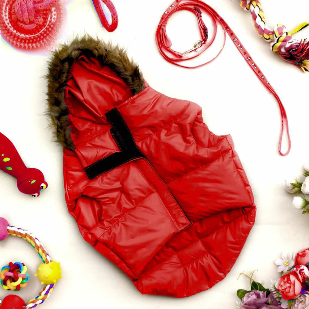 DogsMart Dog Windproof Winter Jackets